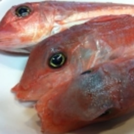 旬な魚 ホウボウの煮付け レシピ 作り方 By アボカドプリン 楽天レシピ 旬な魚 ホウボウの煮付け レシピ 作り方 By アボカドプリン 楽天レシピ